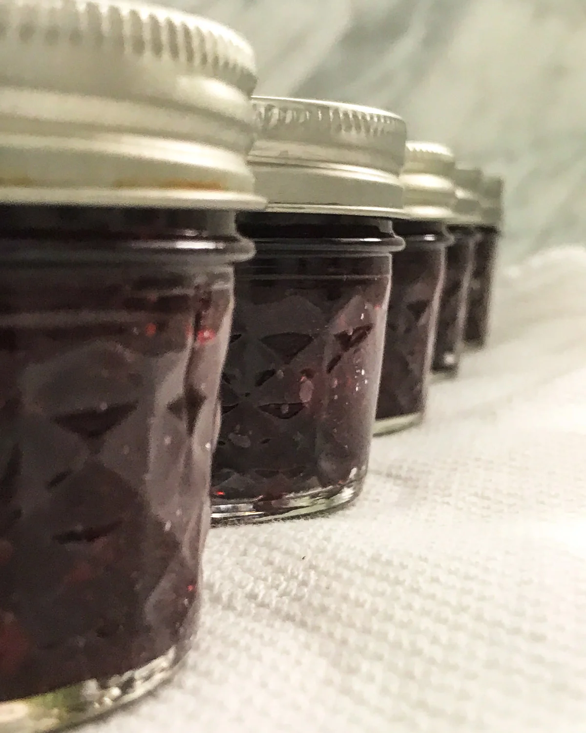 Cranberry Port Jam - processed and cooling.