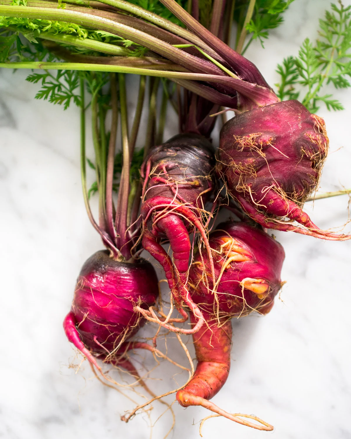 Ugly purple carrots just harvested from the garden.