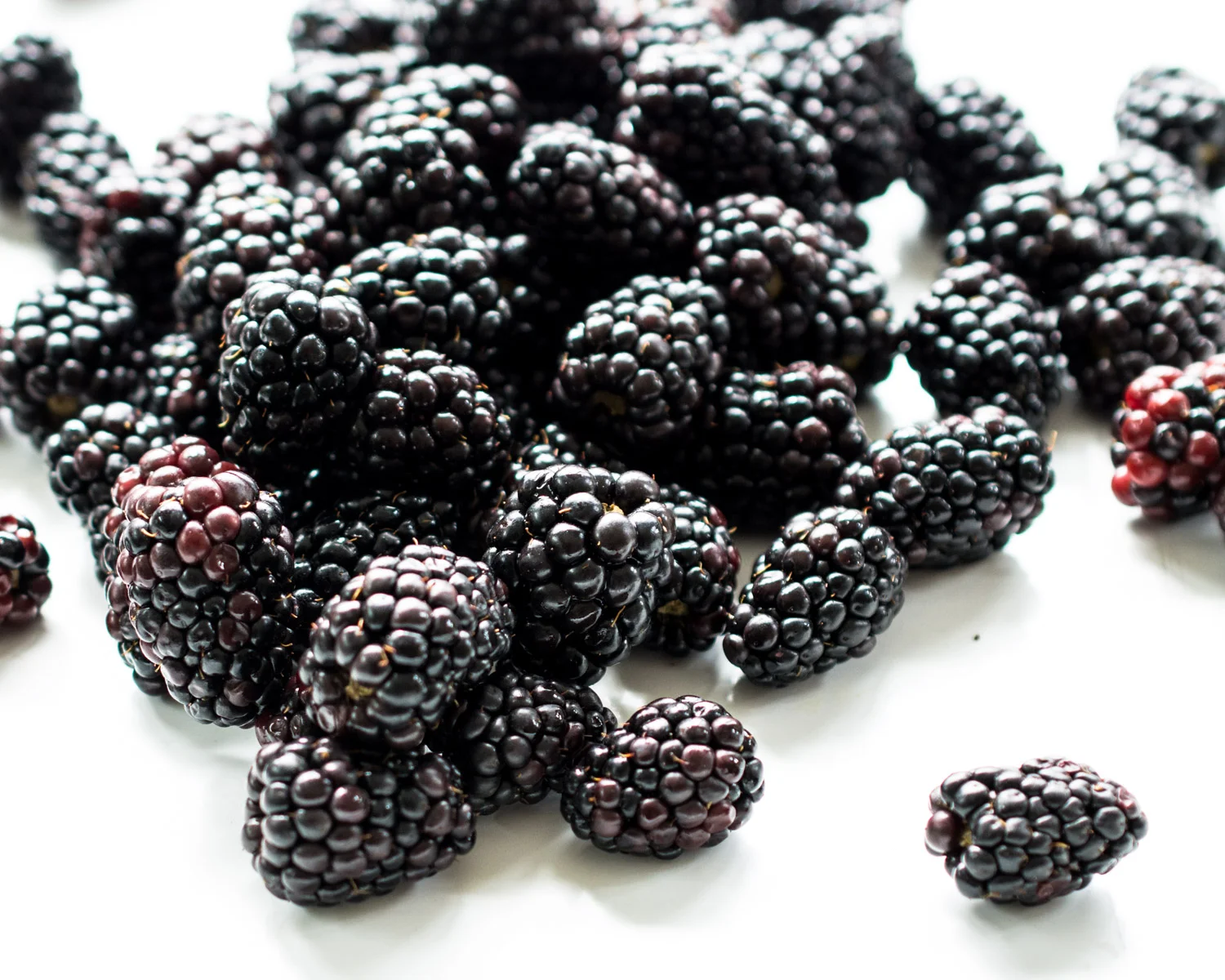 Fresh picked blackberries.