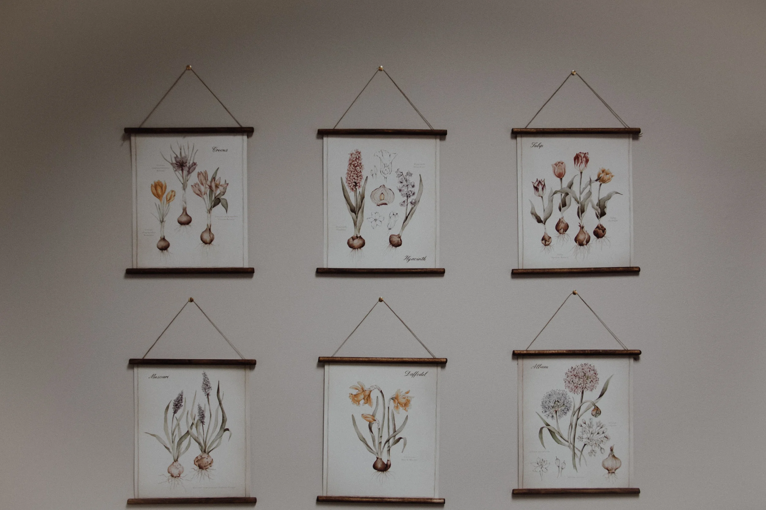 HangingBotanical_Blog-12.jpg