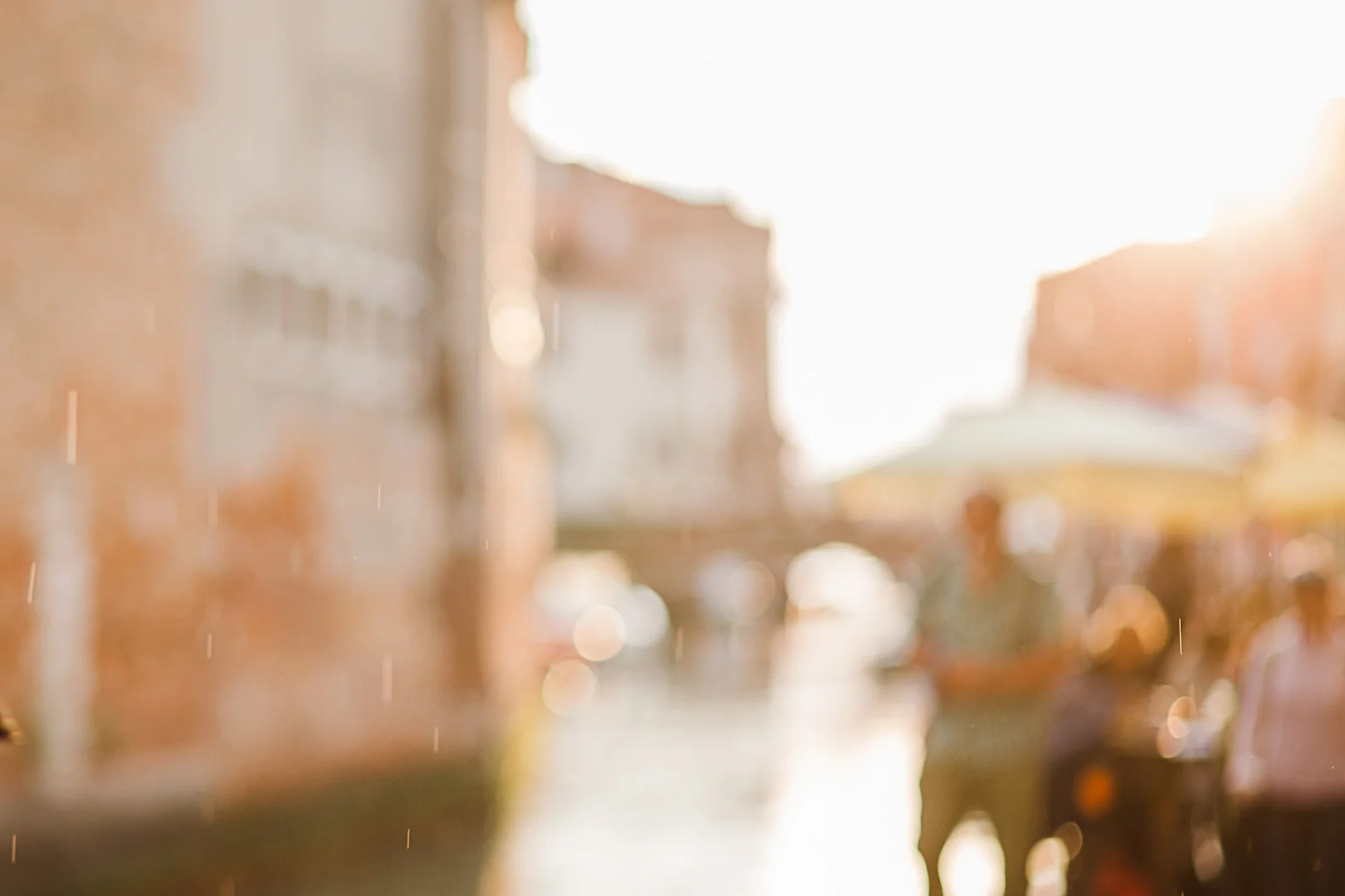 VENICE-5.jpg