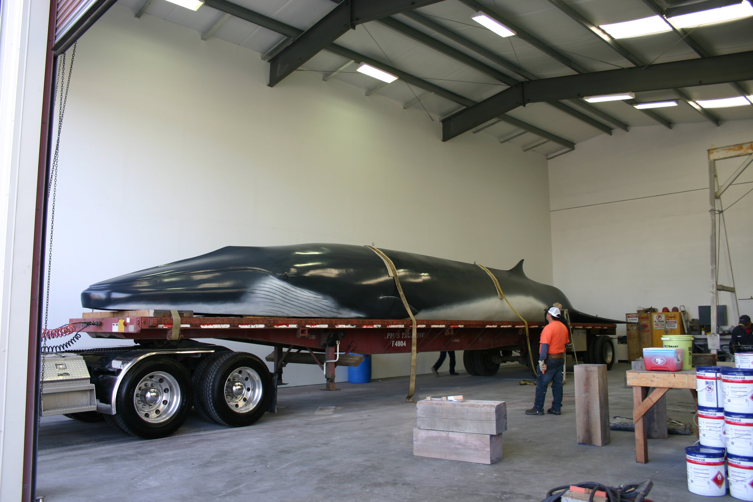 Whale.2.jpg