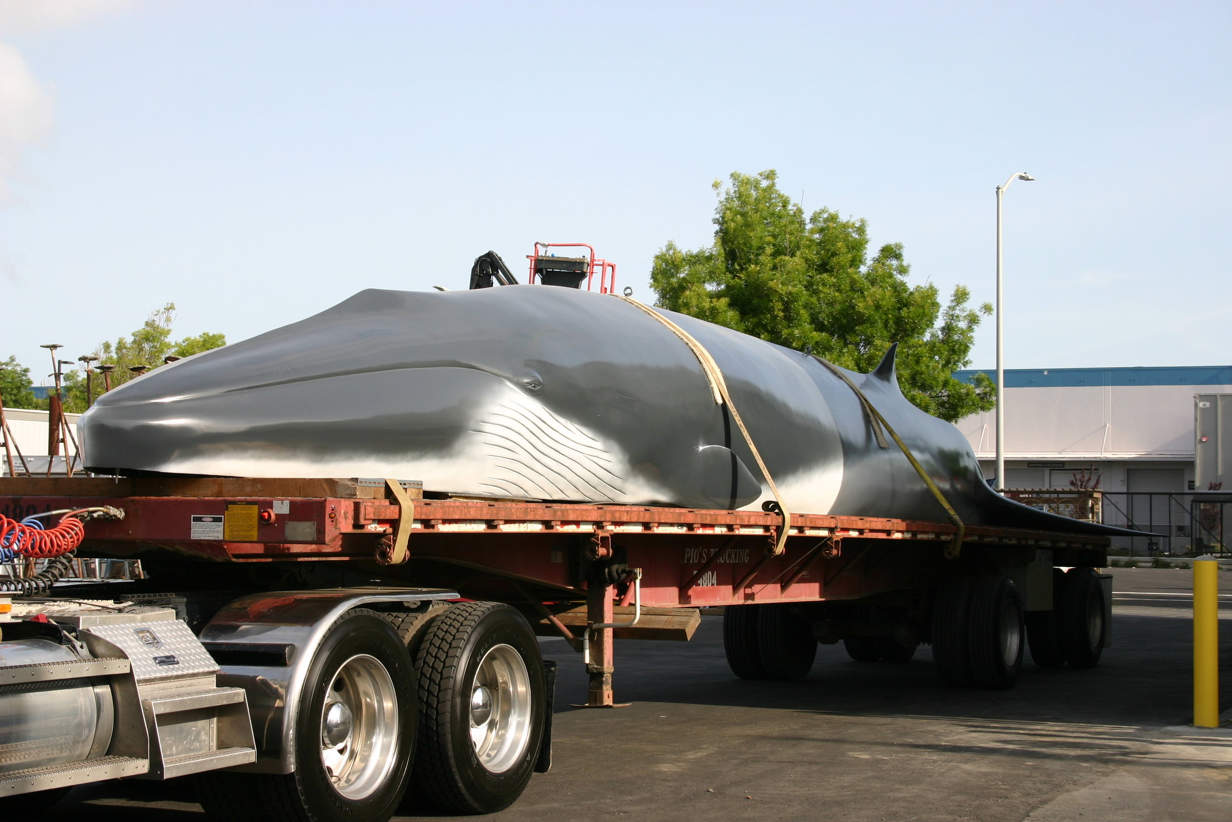 Whale.1.jpg