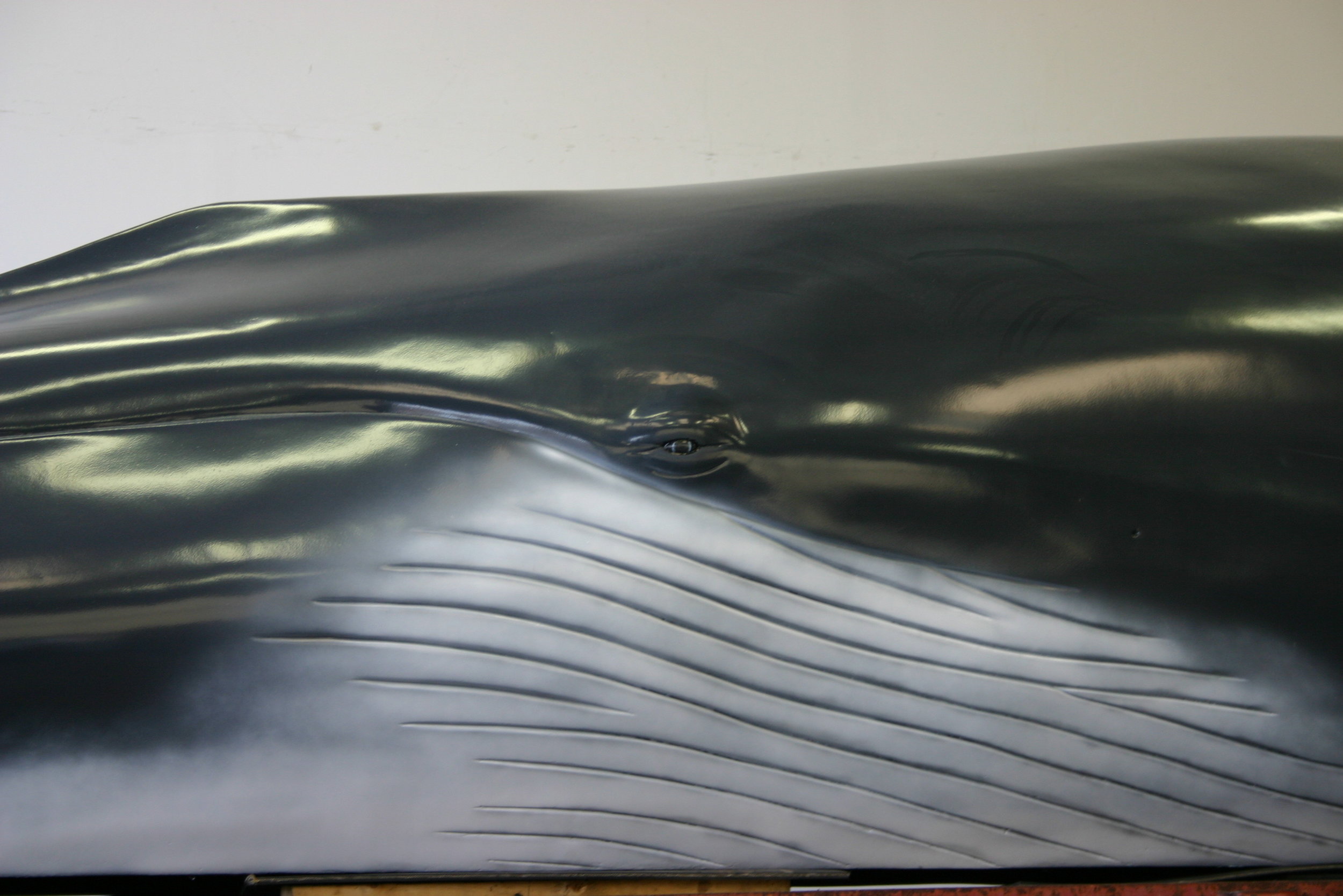 Whale.4.jpg