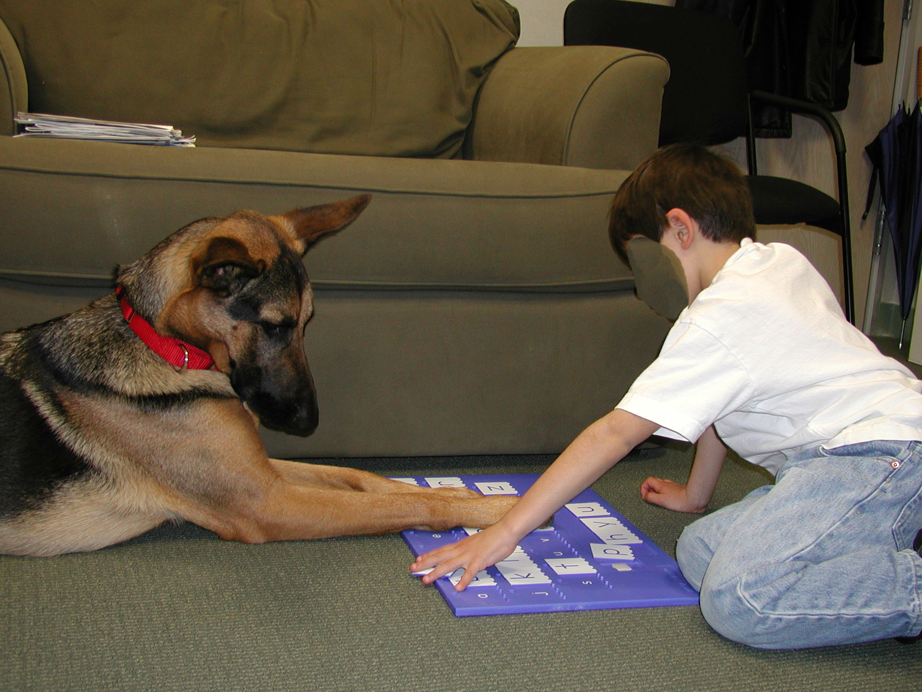 readdog.png