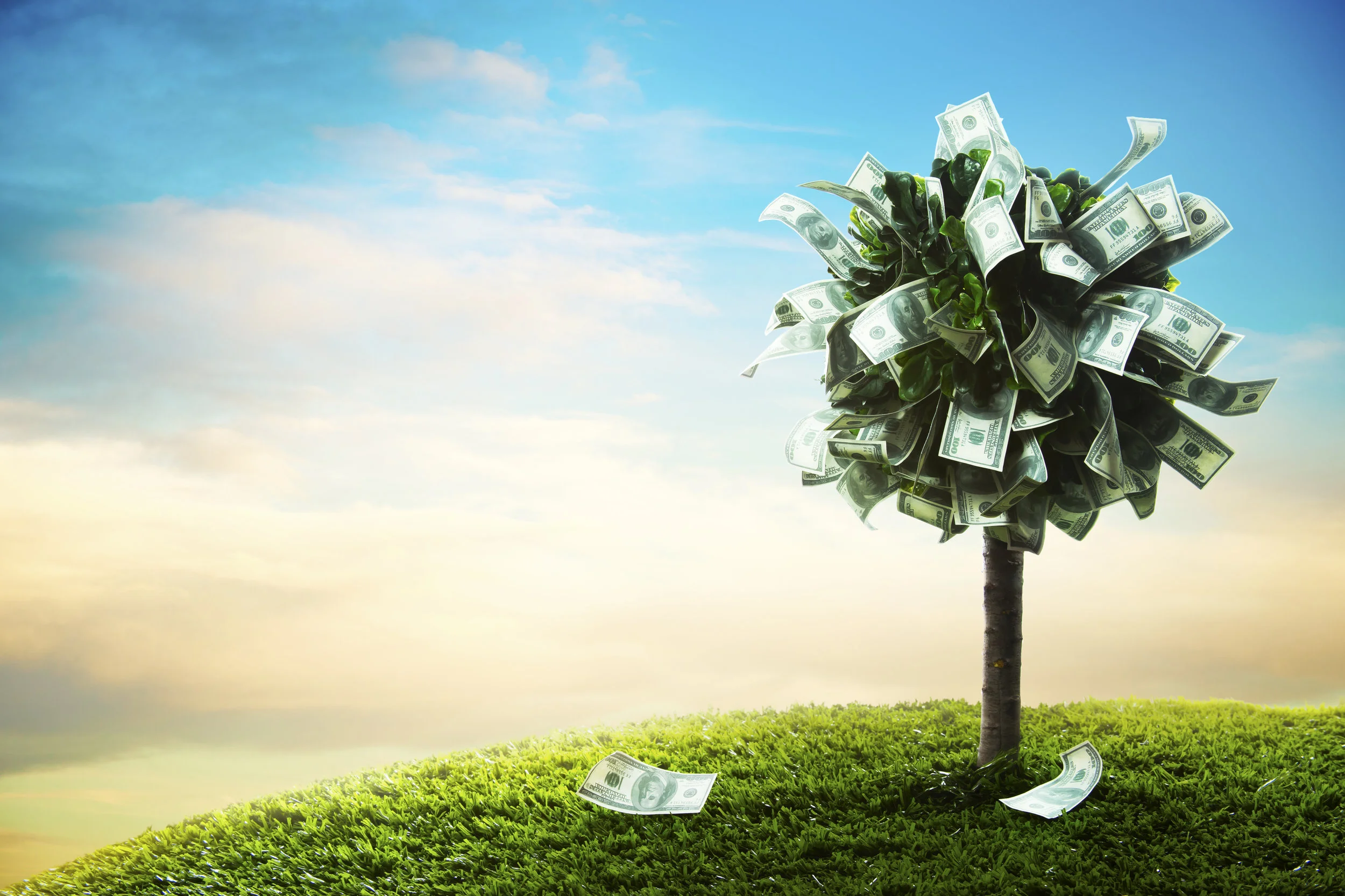 How to Find an Investor for Your Business