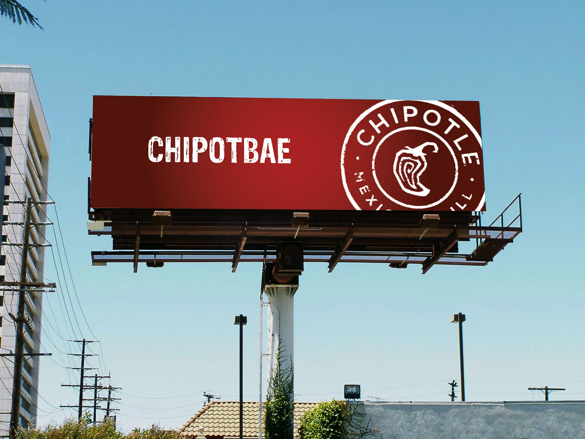 ChipotleStrategy, Campaign