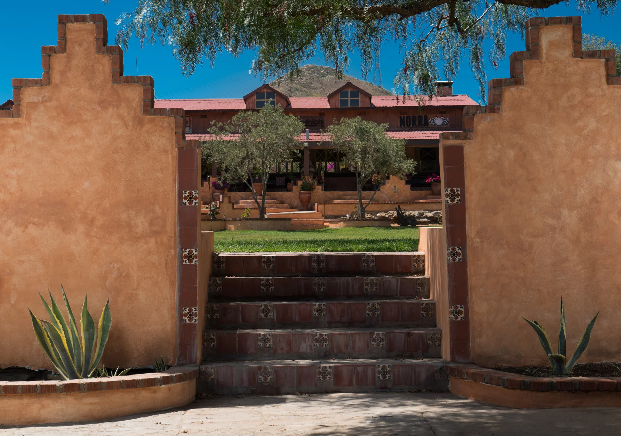 HorsePower_Ranch_environmental-65.jpg