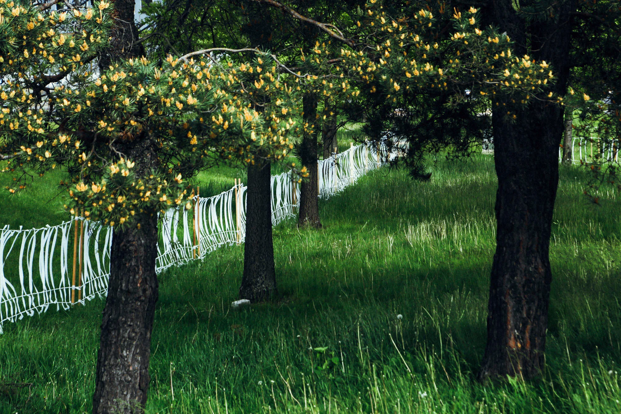 _TEMPO-GHOST-FENCE-66.jpg