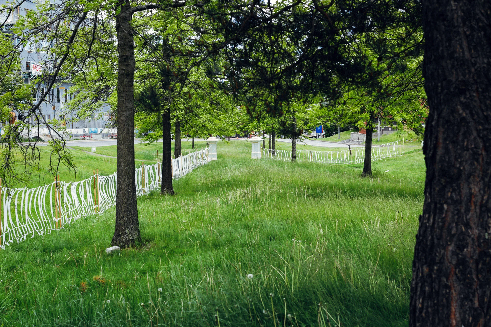 _TEMPO-GHOST-FENCE-49.jpg