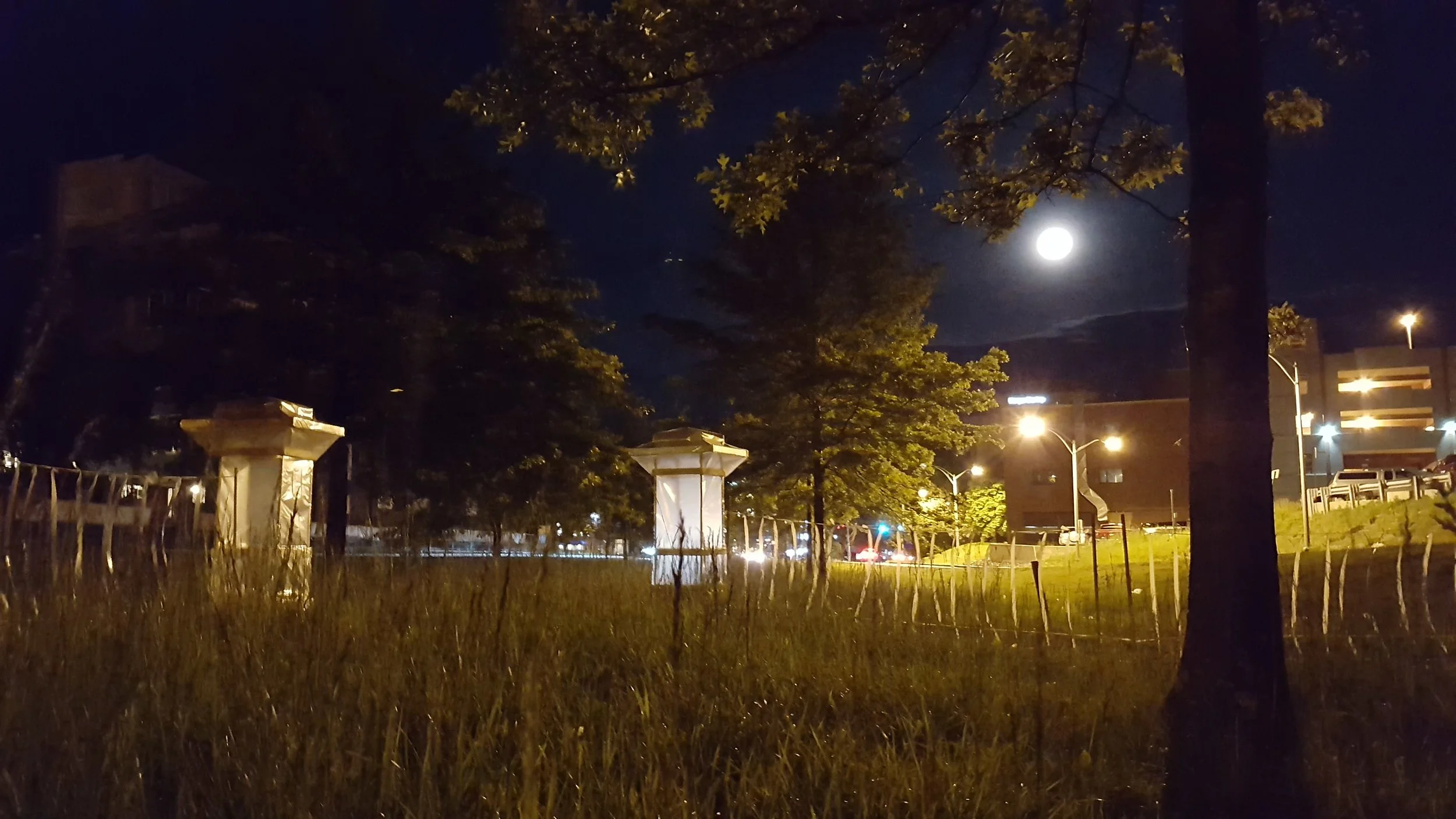 _20170609_220601.jpg