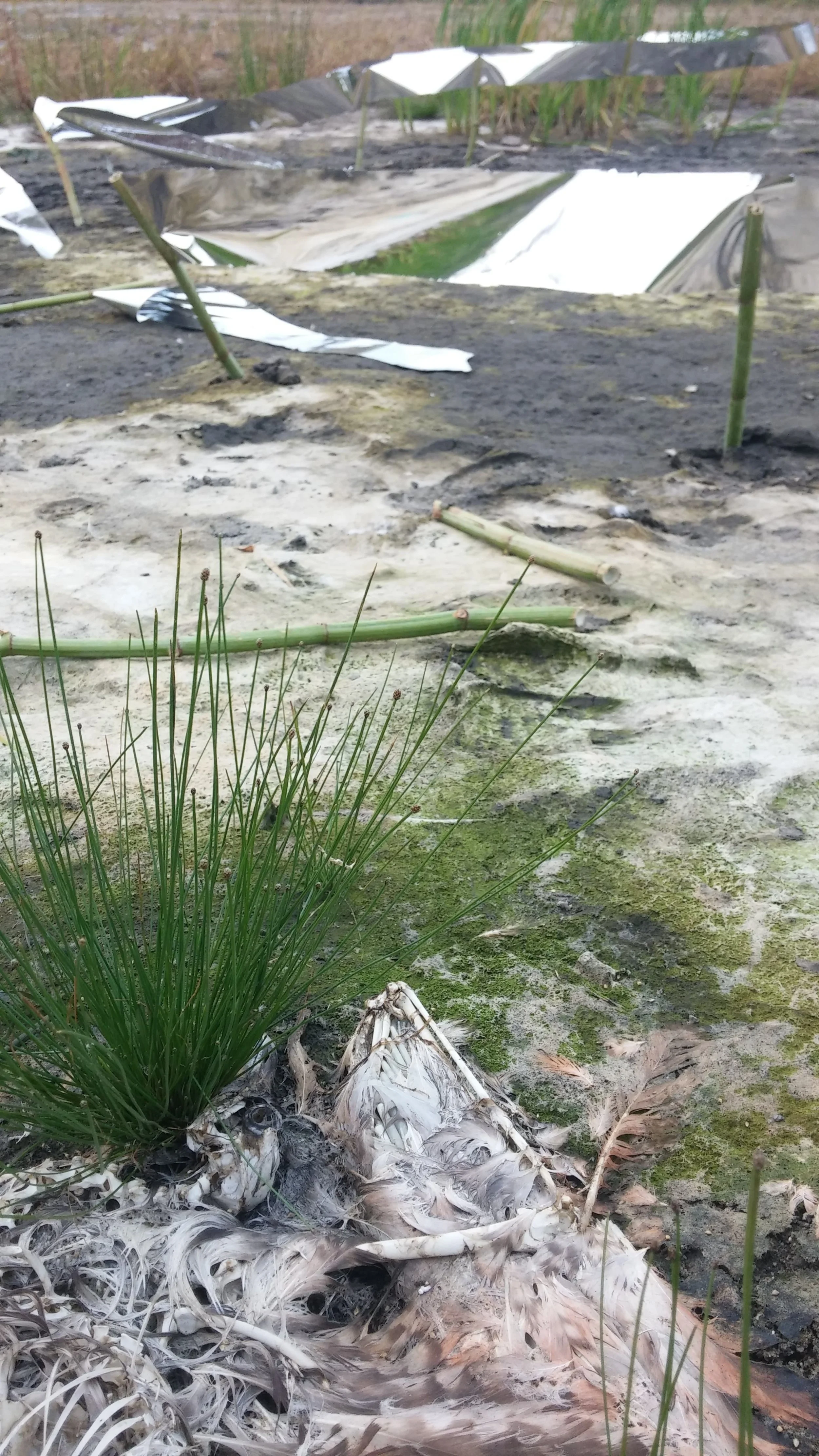 20140920_172943.jpg