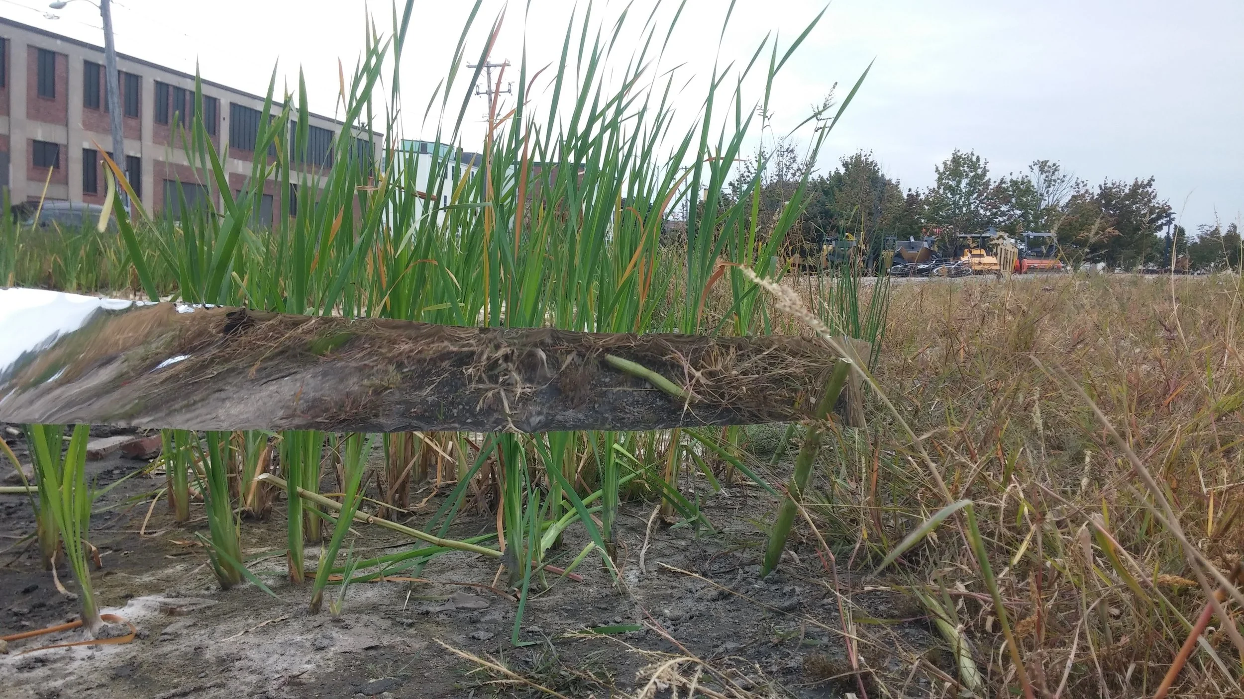 20140920_172829.jpg