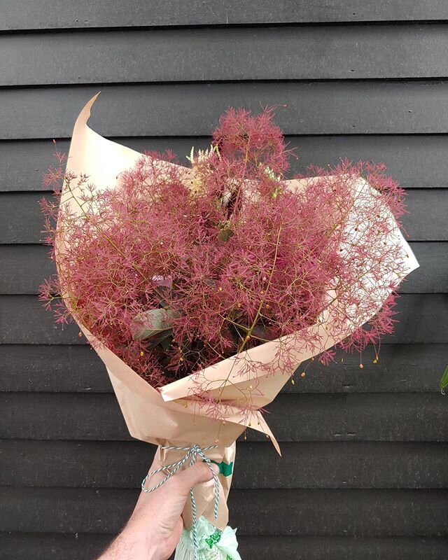 This week's local flower subscription features #smokebush so bushy you can't see the other flowers. Feeling like you missed out? There are still 13 weeks left and we're offering pro-rated subscriptions at all levels. Hit me up if interested. Also, 4-