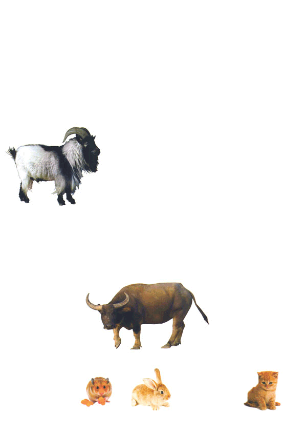Farm-Animals-P.gif