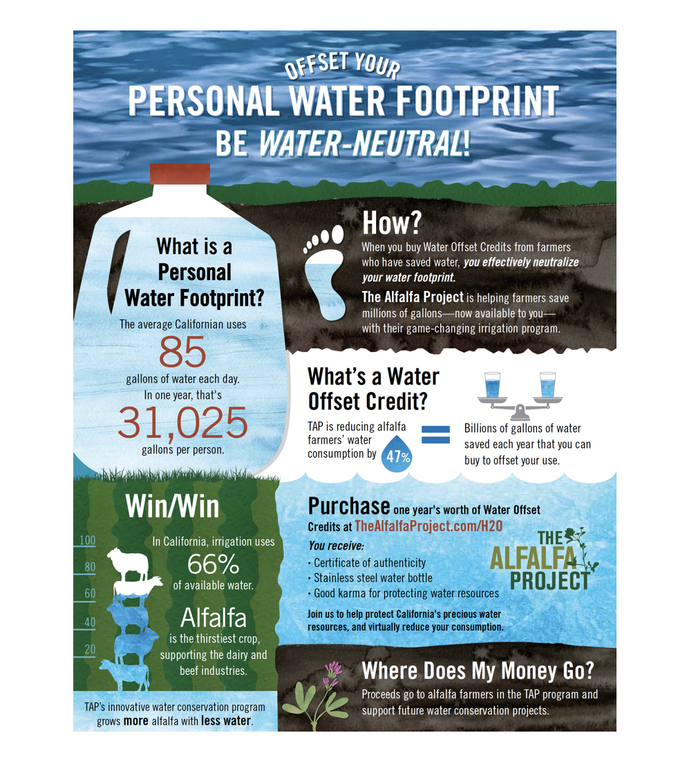 Personal Water Footprint.png