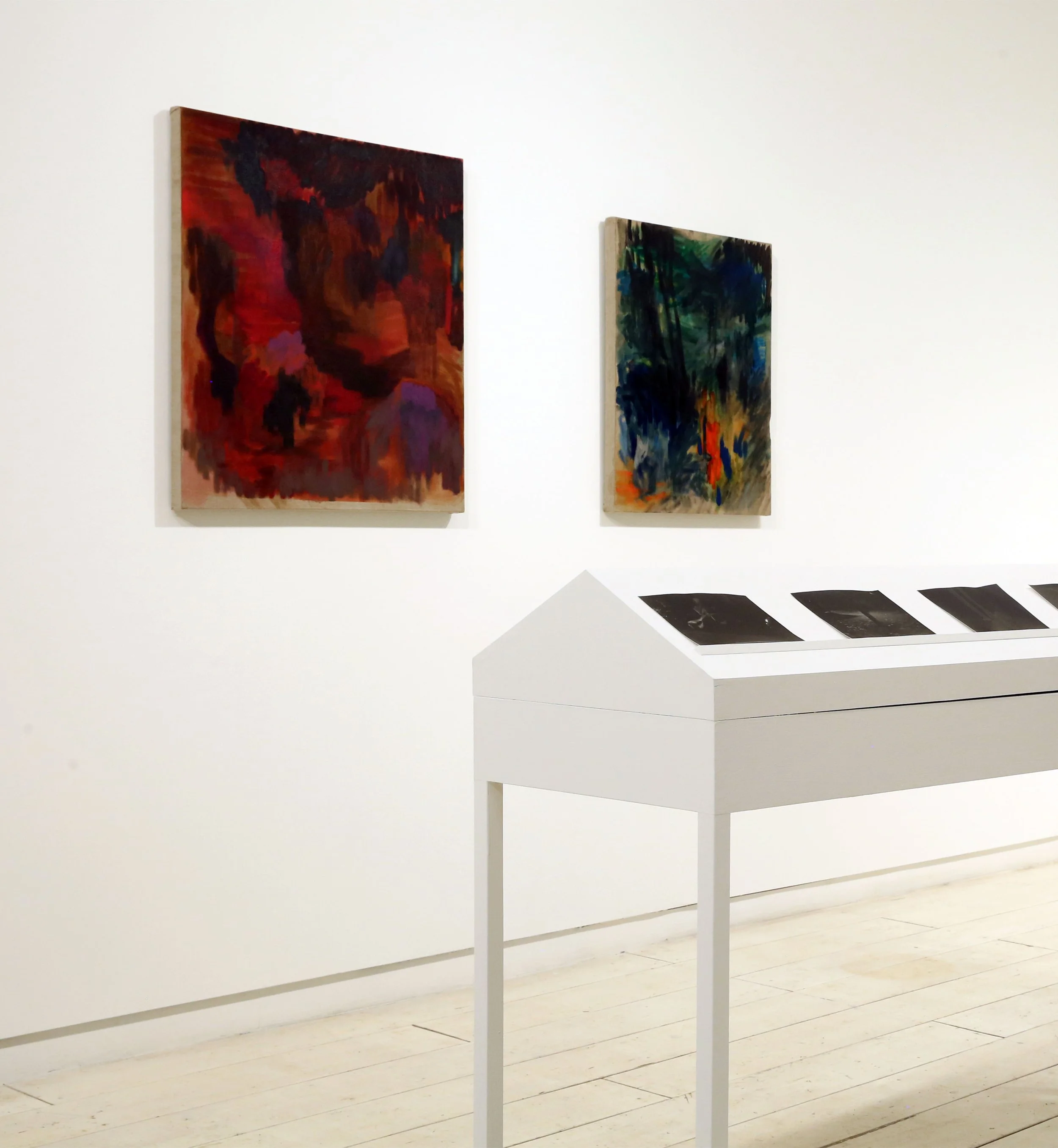 InstallShot02_MeganHebpurn_ATerribleSignal_2017.jpg