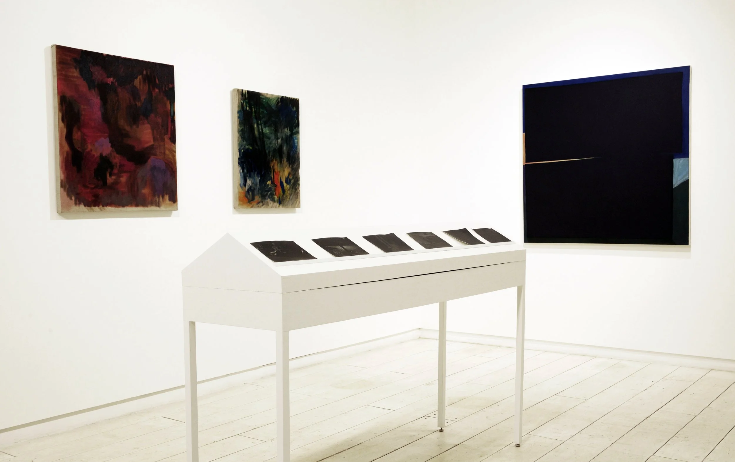 2017 InstallShot01_MeganHebpurn_ATerribleSignal_2017.jpg