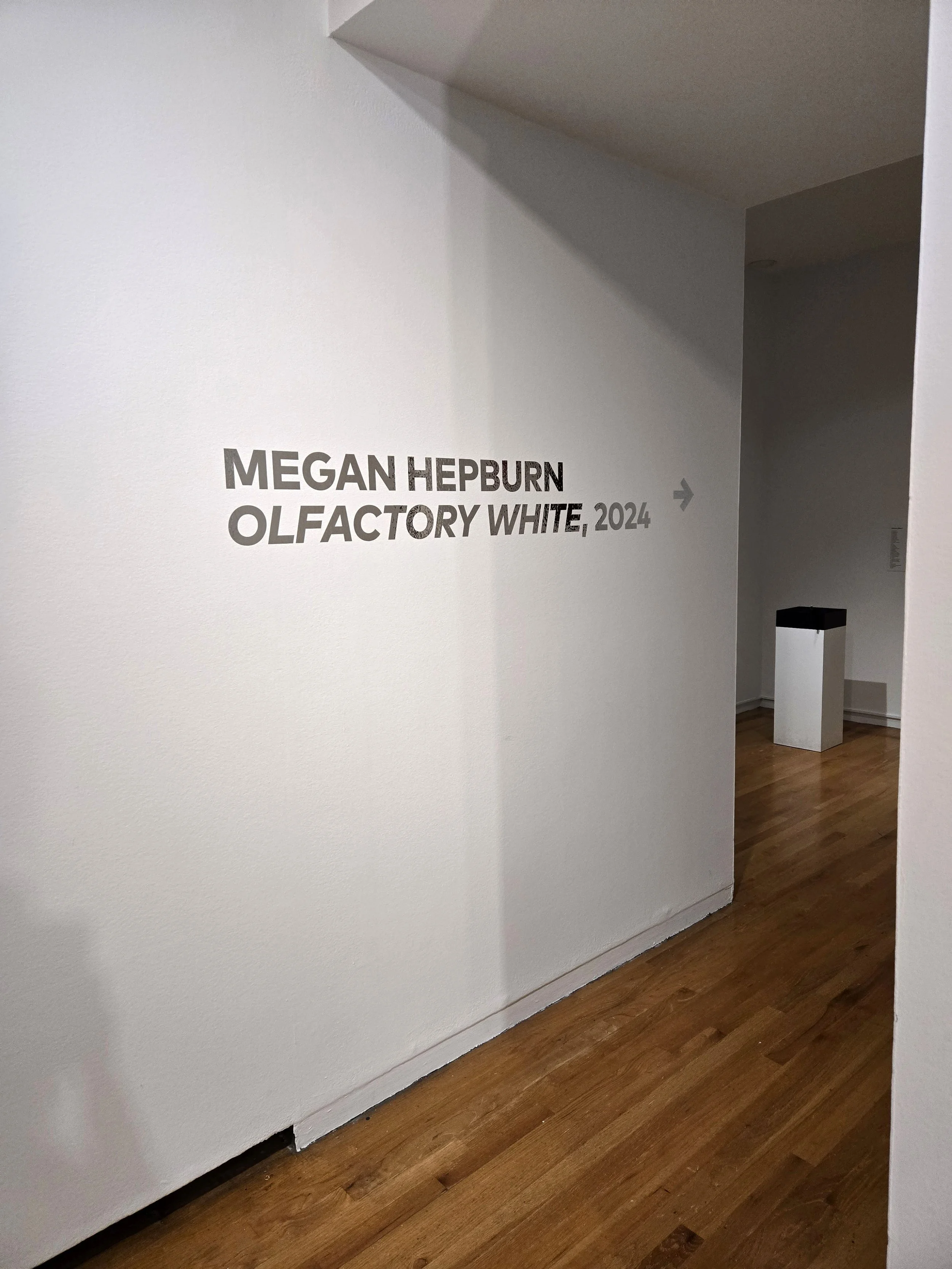20240925_110308.jpg