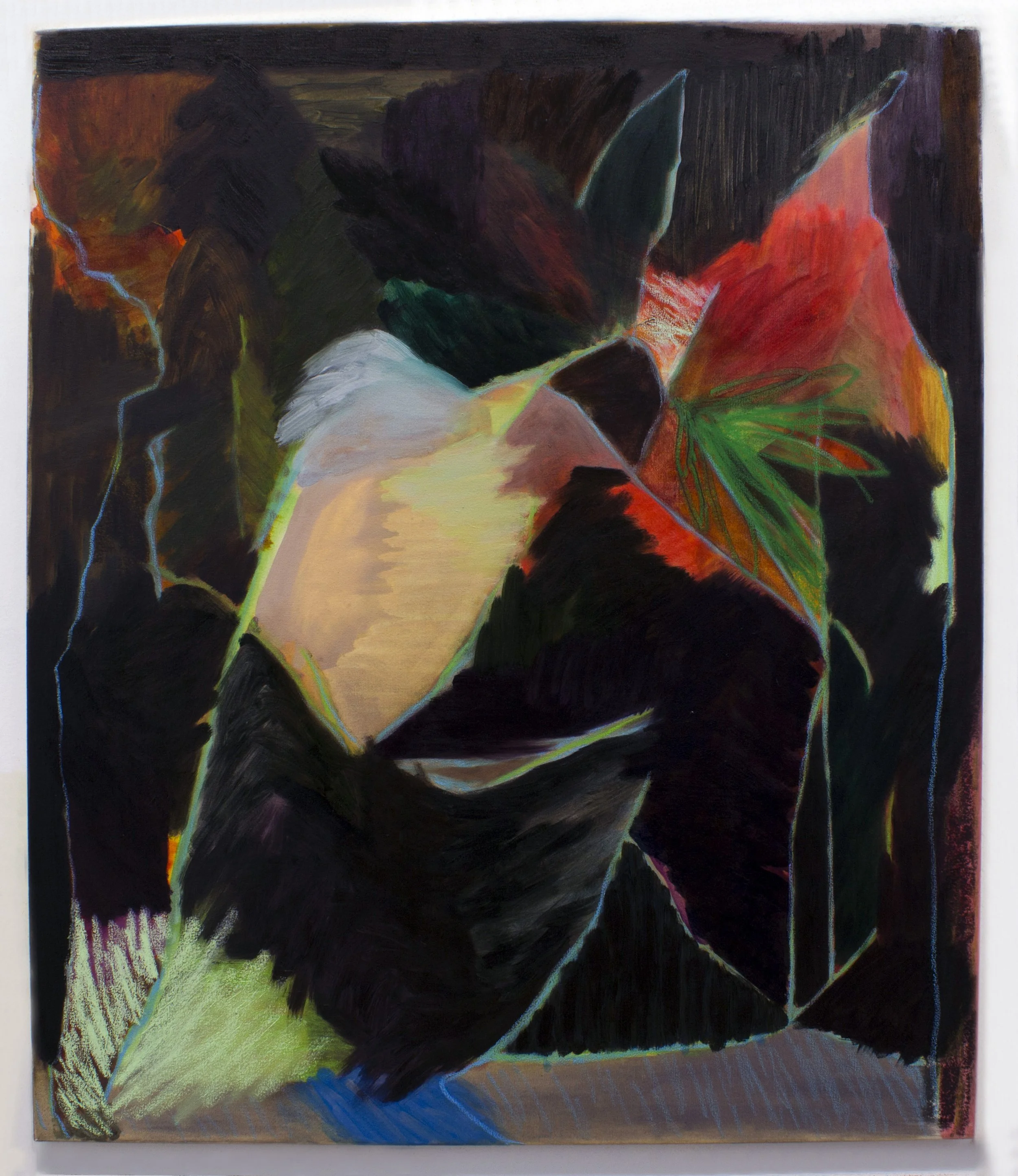 2016 black palm.jpg
