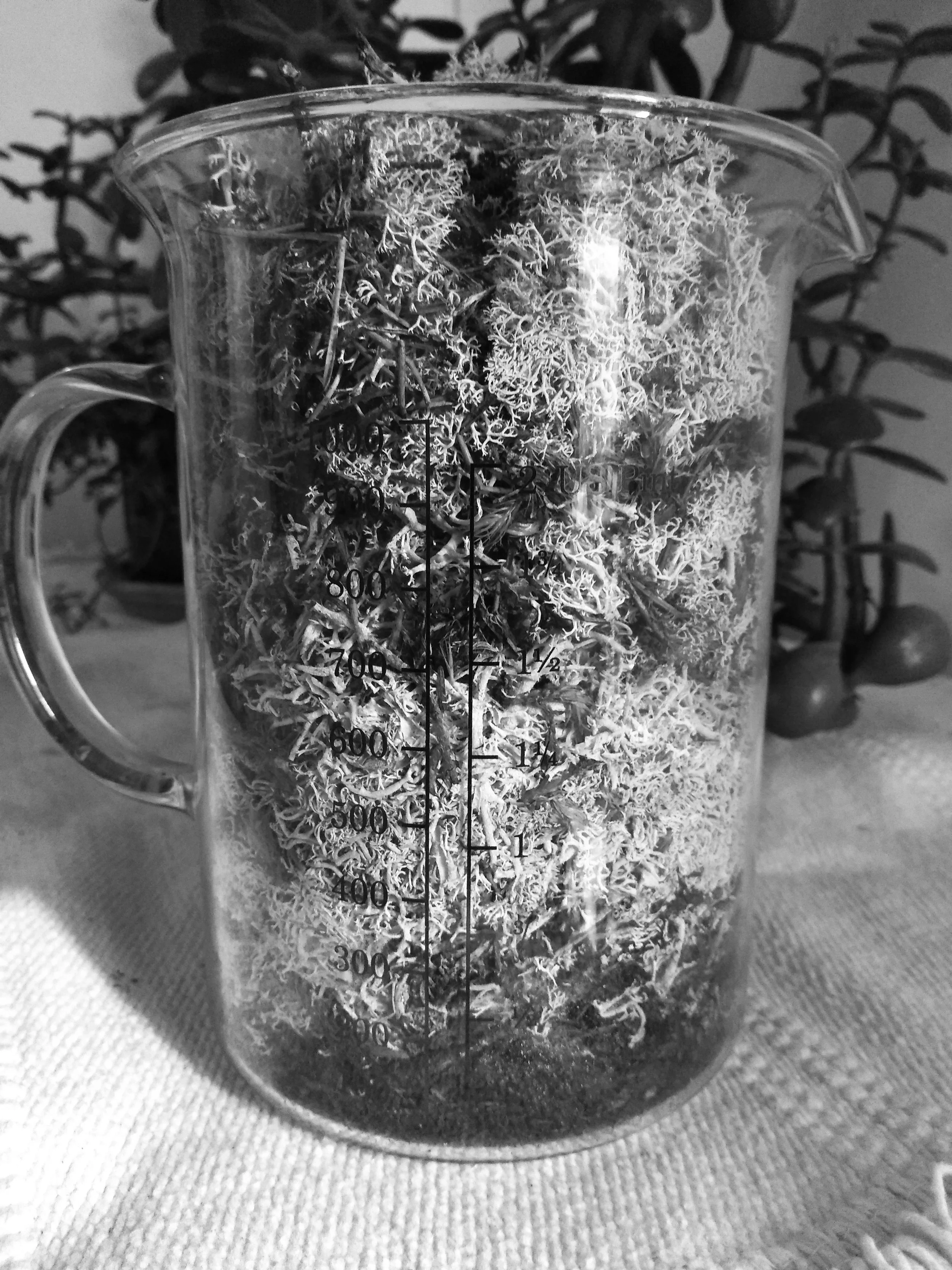 bw measurement1.jpg