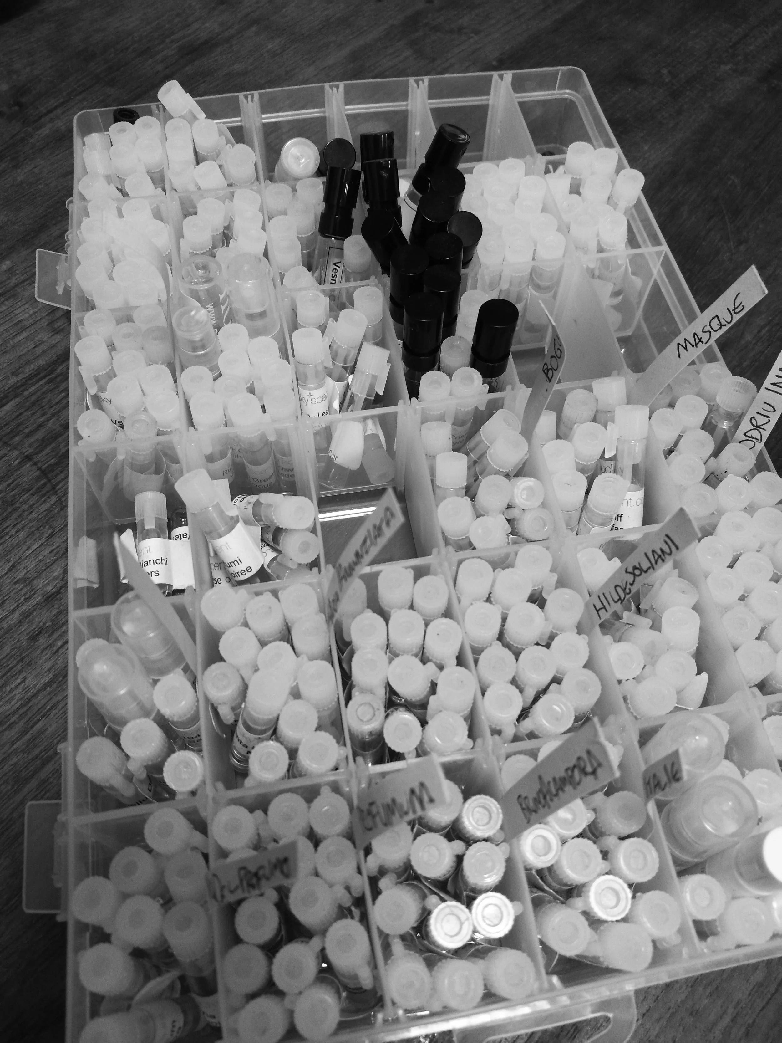 bw samples snif party.jpg