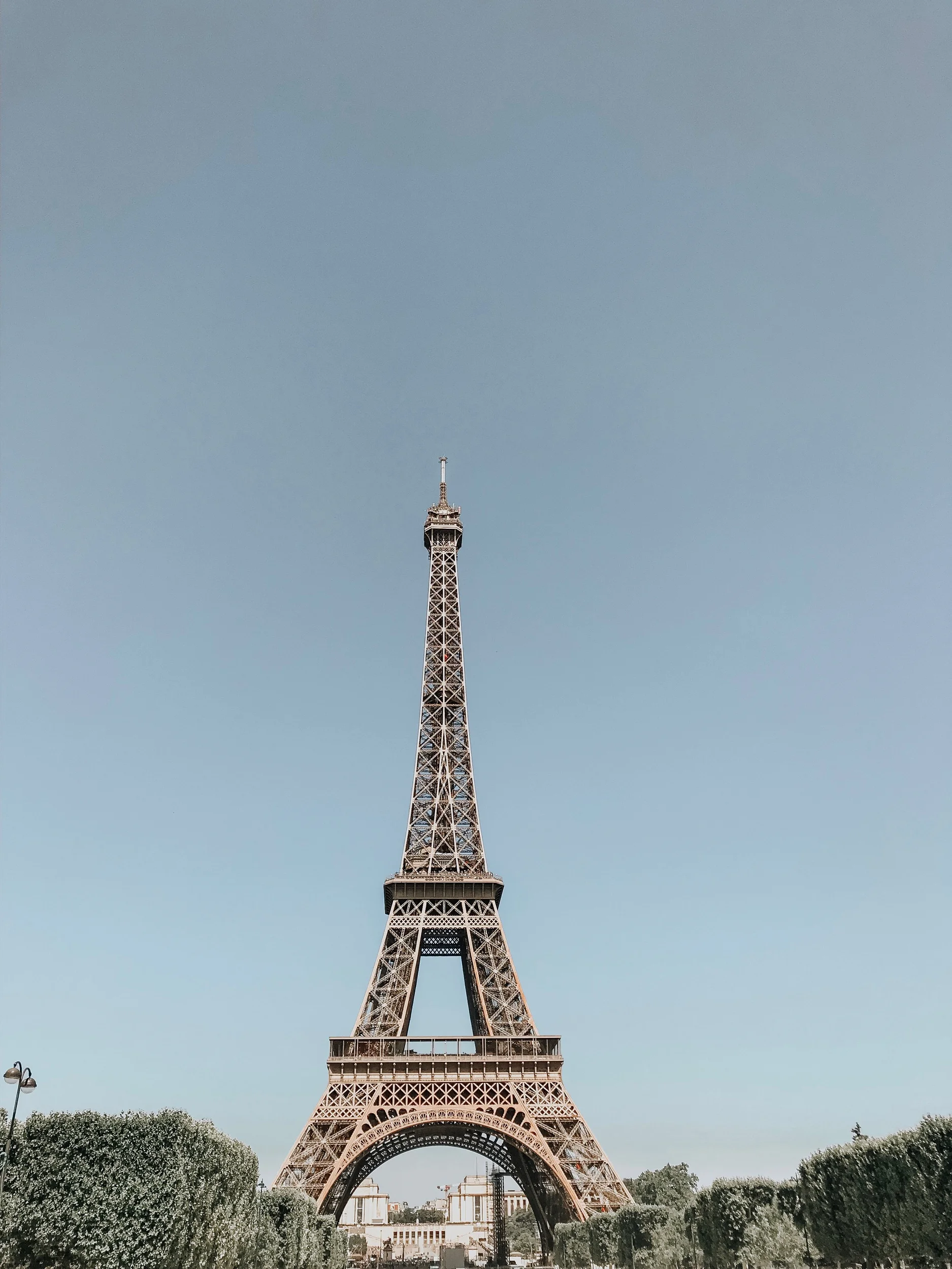 IMG_7169.jpeg