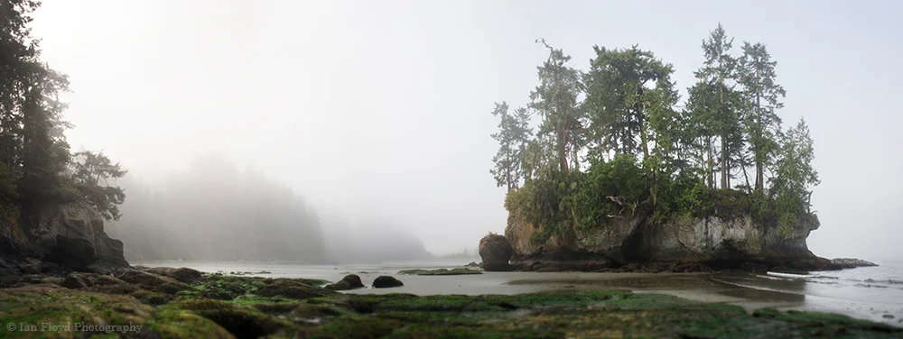 Discover Washington! Located in the Salt Creek Recreation Area in Clallam county, Tongue Point is known for great tide pooling, especially on a foggy afternoon like this!