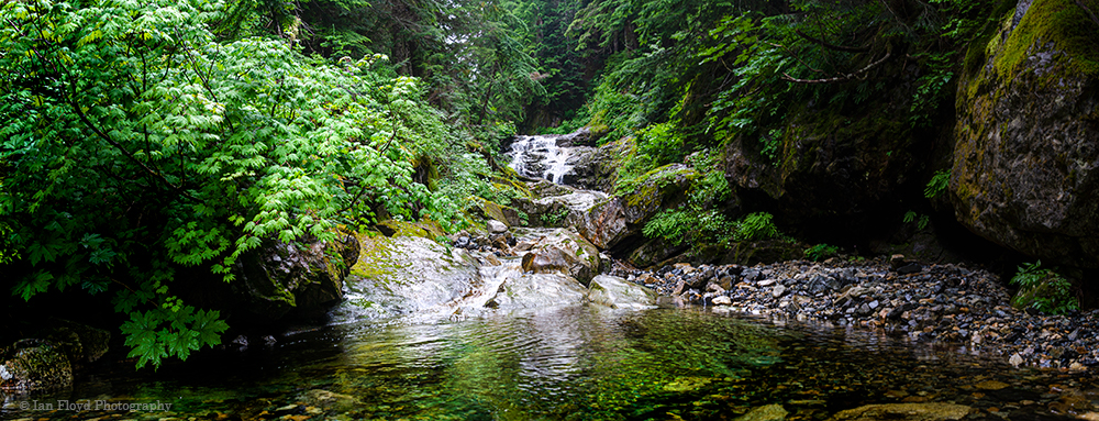 DennyCreekMaplePano.jpg