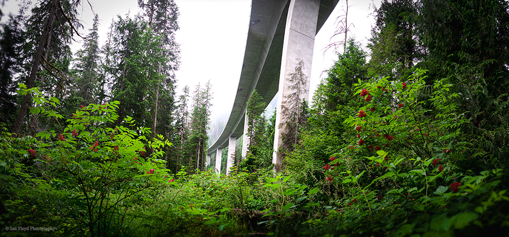 Highwayoverpass.jpg