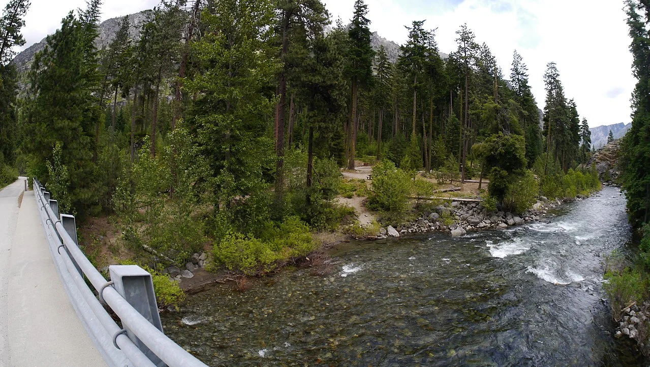 An image of Bridge Creek Campground, featuring the bridge, the creek, AND the campground! Photo courtesy of Thayne Tuason.