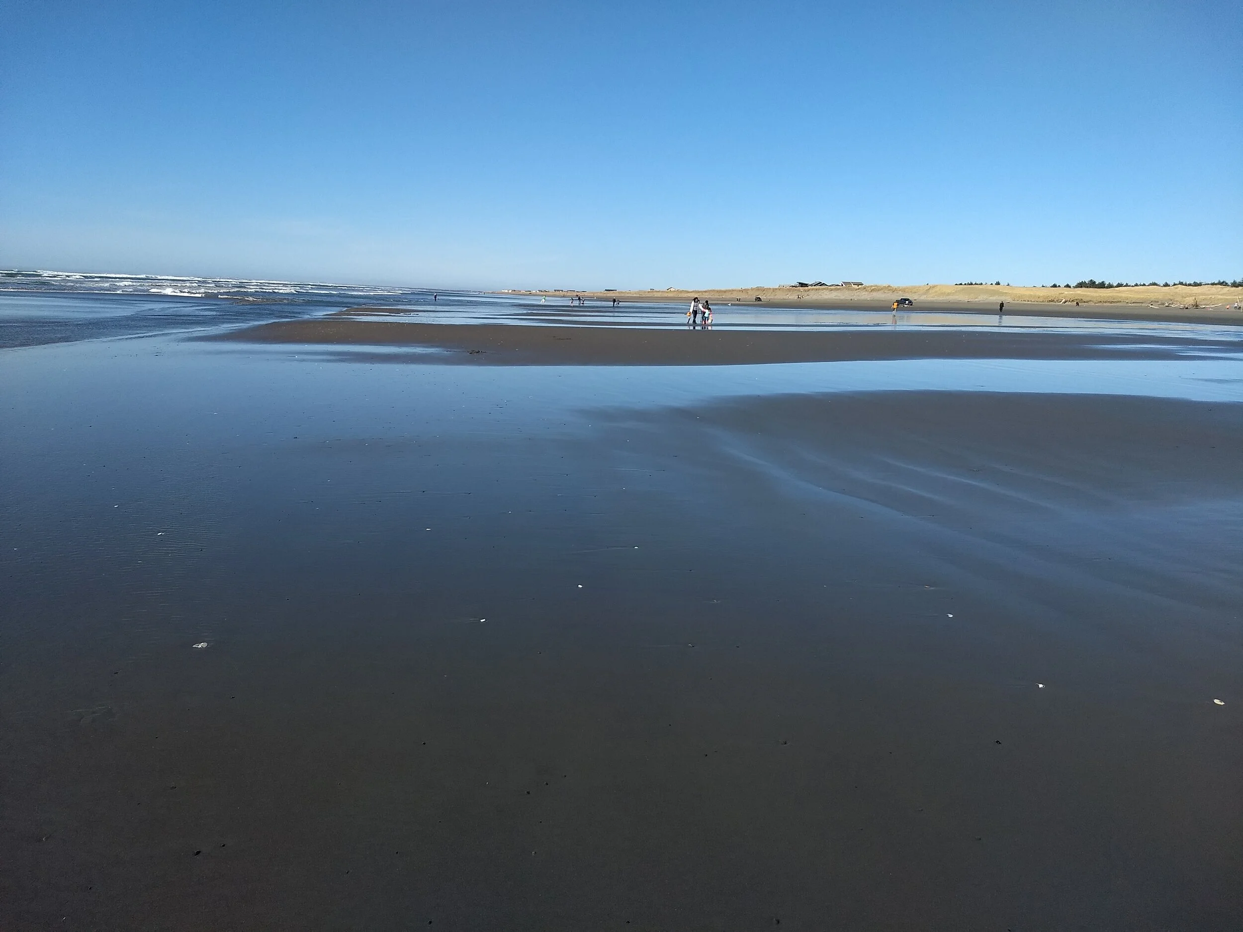 Camping at the Ocean Twin Harbor State Park — Washington Hometown