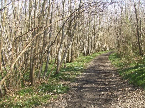 Canterbury Trails: Kent, 42 miles, £650                                         