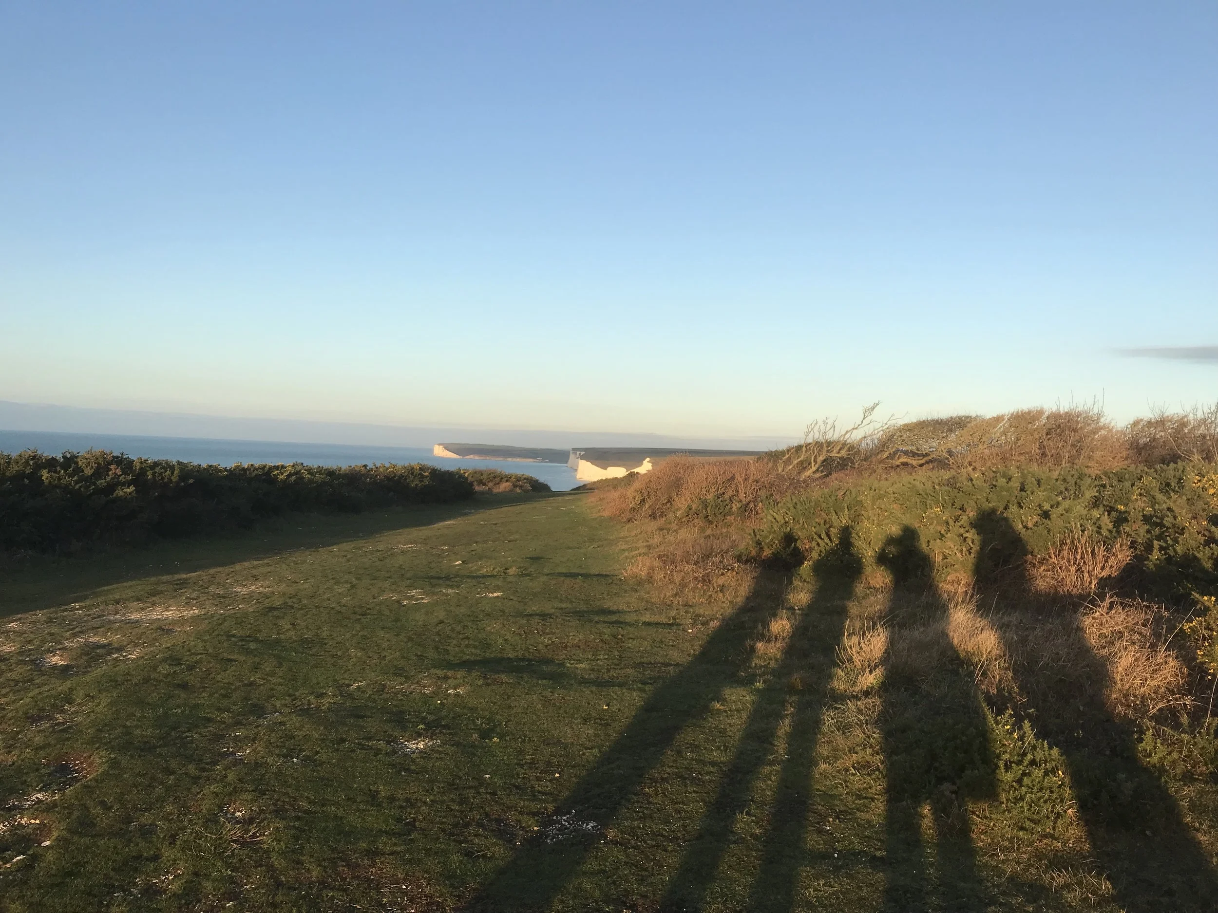 Wild New Year's Eve: South Downs, 8 miles, £50