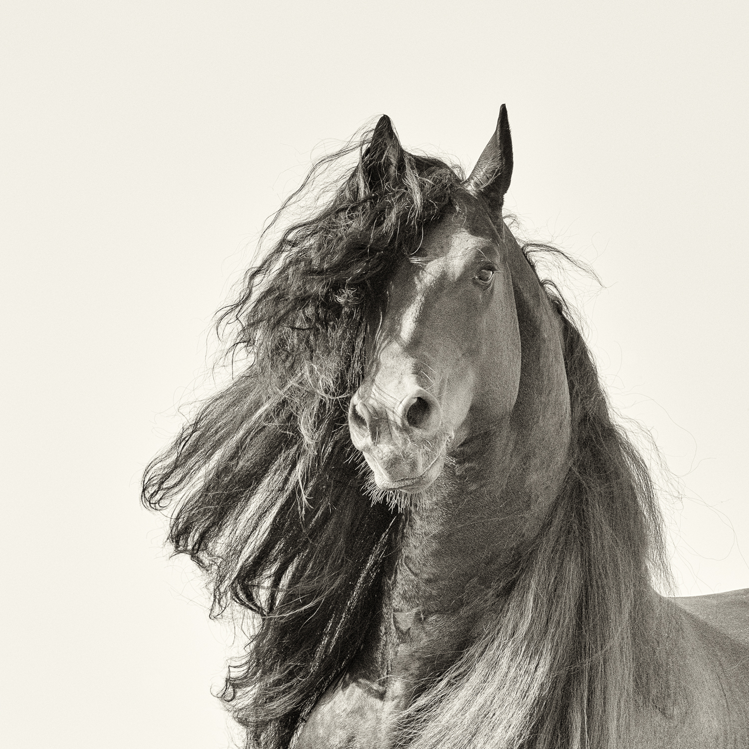 _DSC8764-Edit-2-Edit-2.jpg
