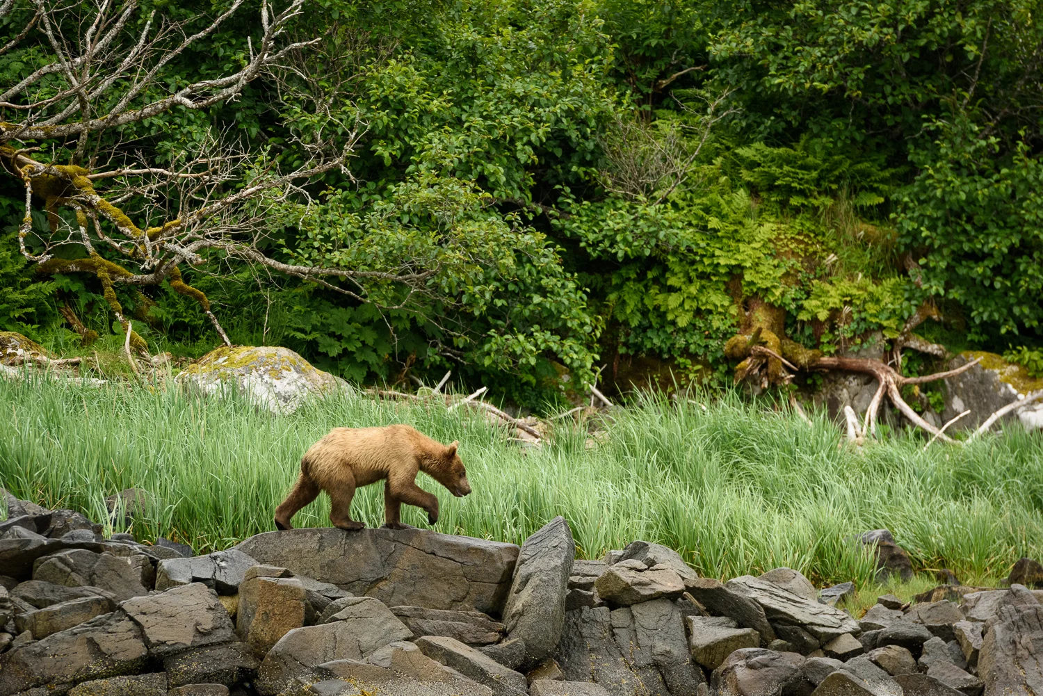 _DSC7559.jpg