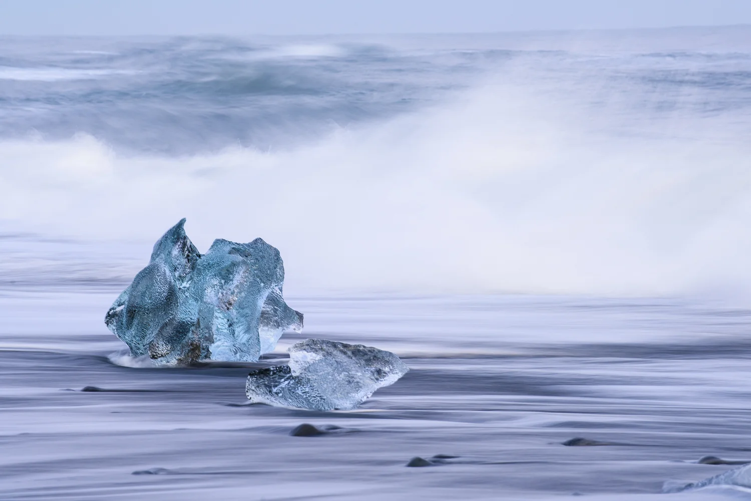 _DSC6303.jpg