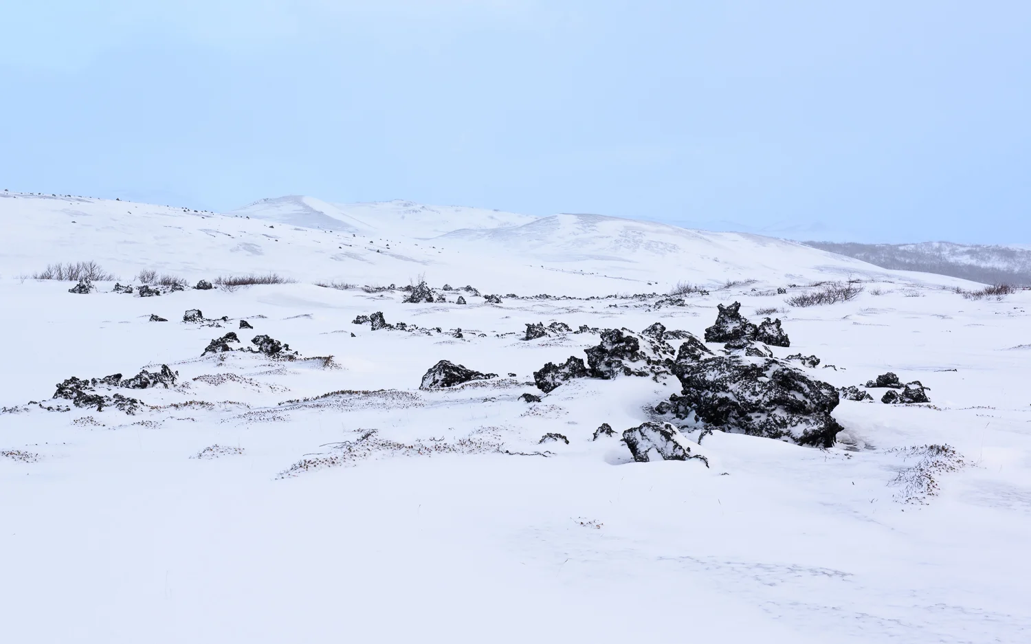 _DSC6779.jpg