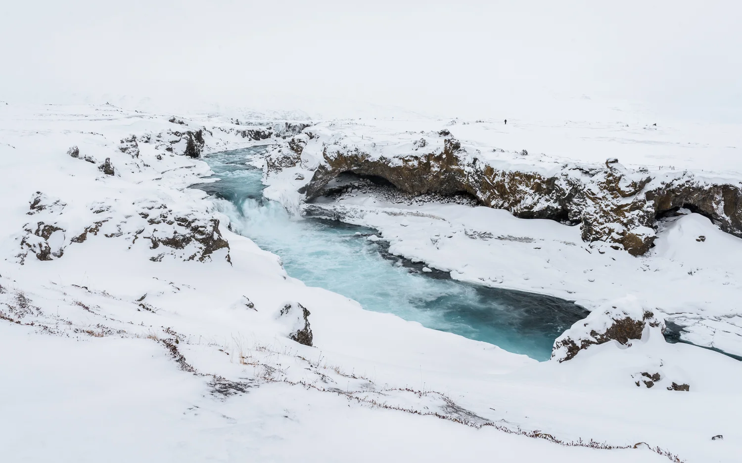 _DSC6863.jpg