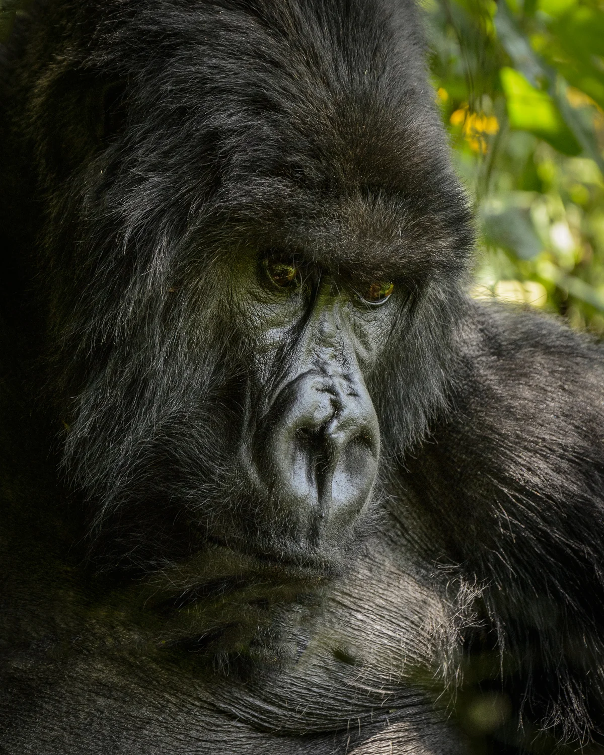 _DSC4692-Edit.jpg