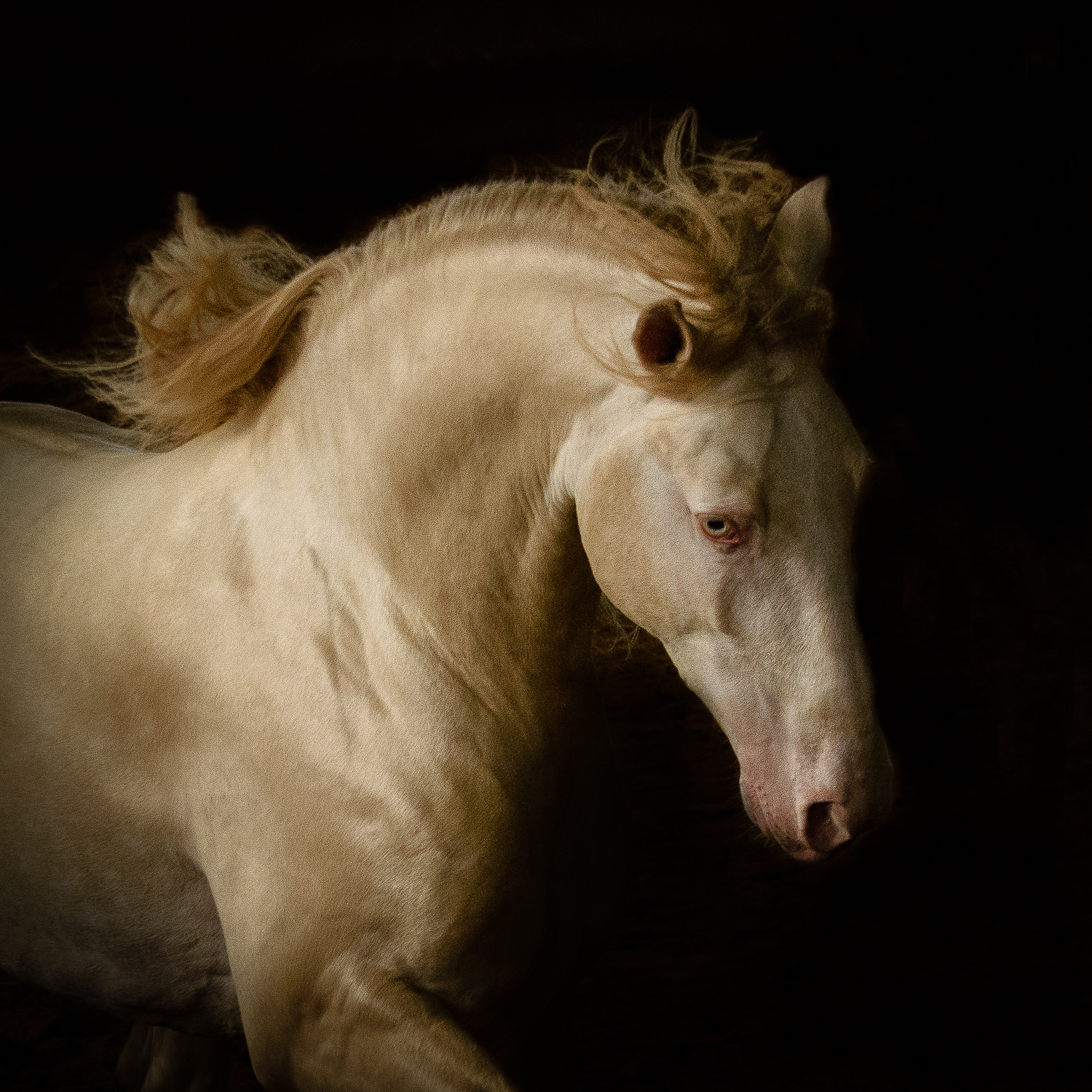 _DSC1530-Edit-Edit-2.jpg
