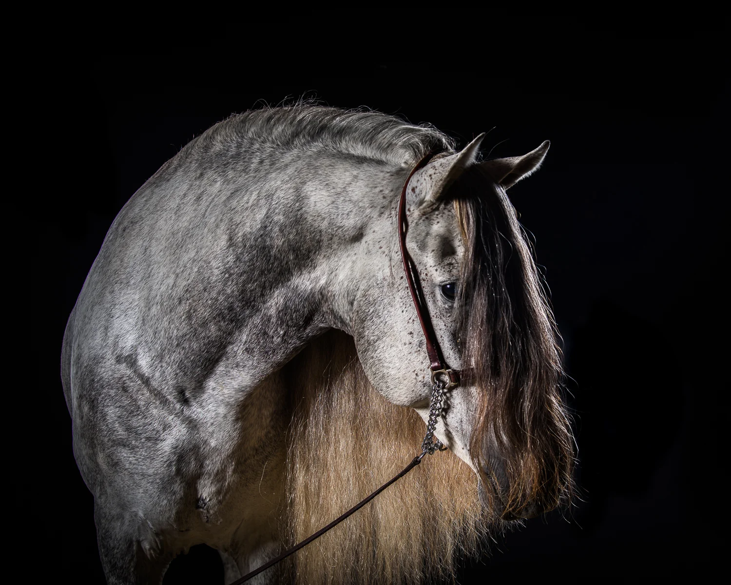 _DSC5401-Edit.jpg