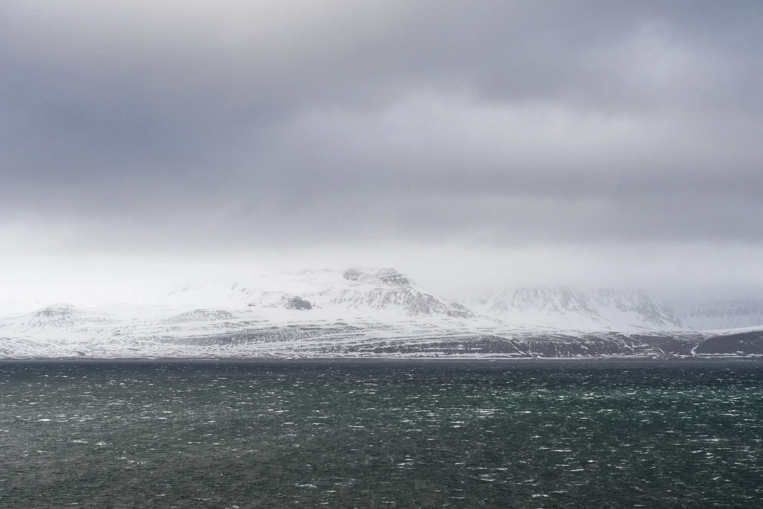 _DSC4242.jpg
