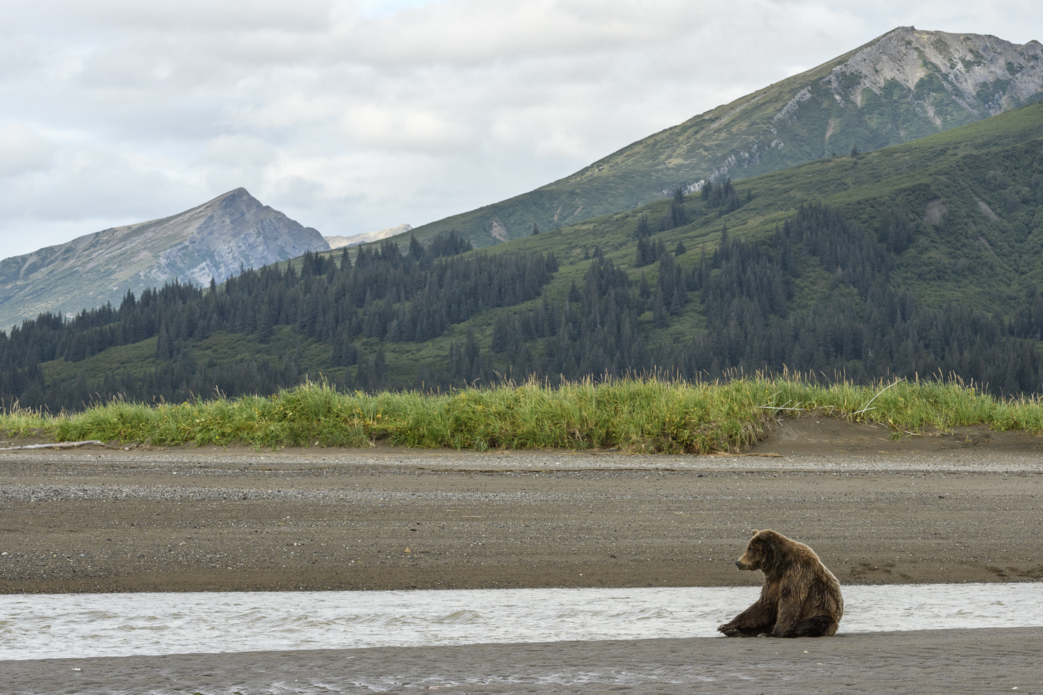 Alaska2017 (1 av 1)-2.jpg