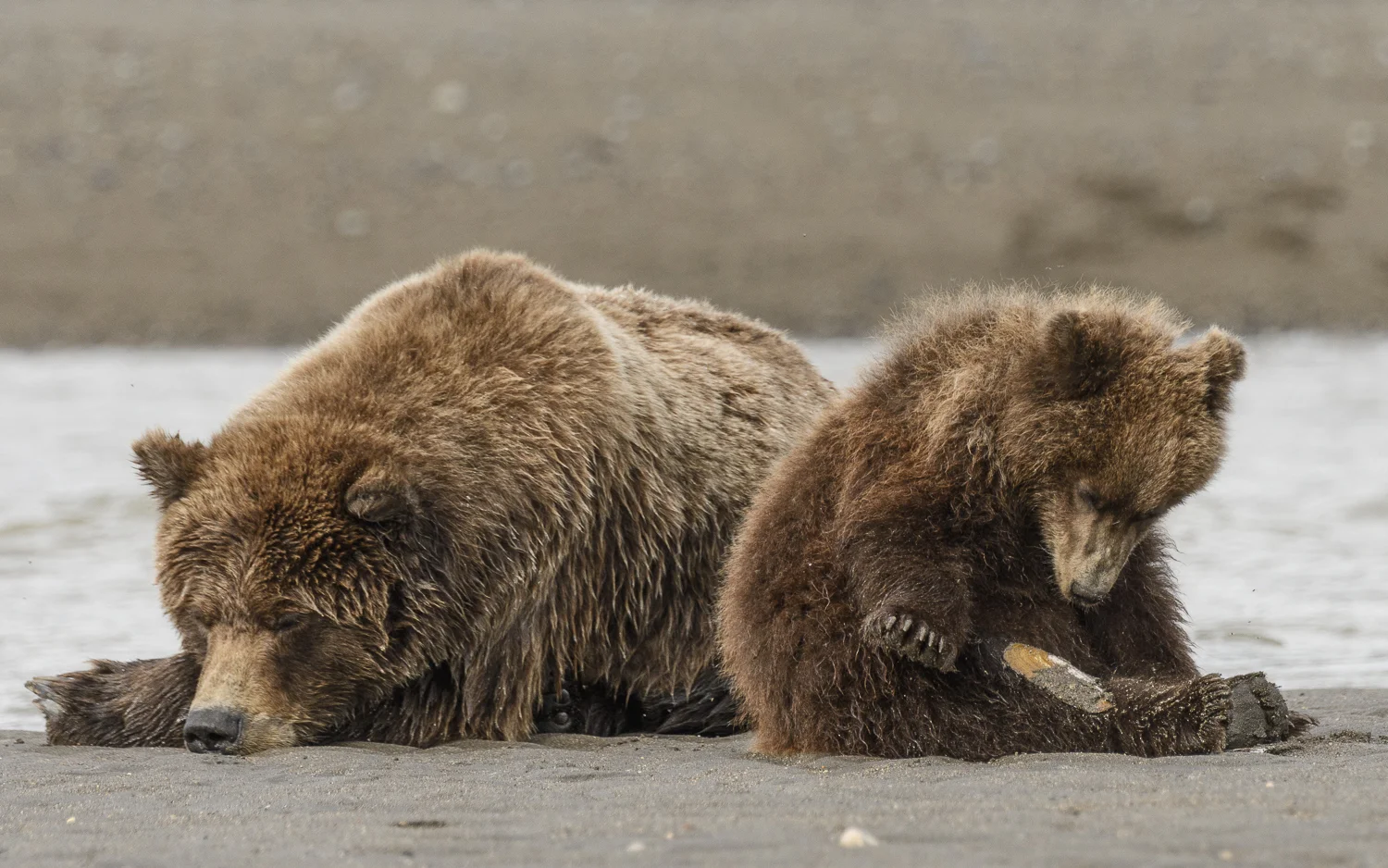 Alaska2017 (1 av 1)-3.jpg