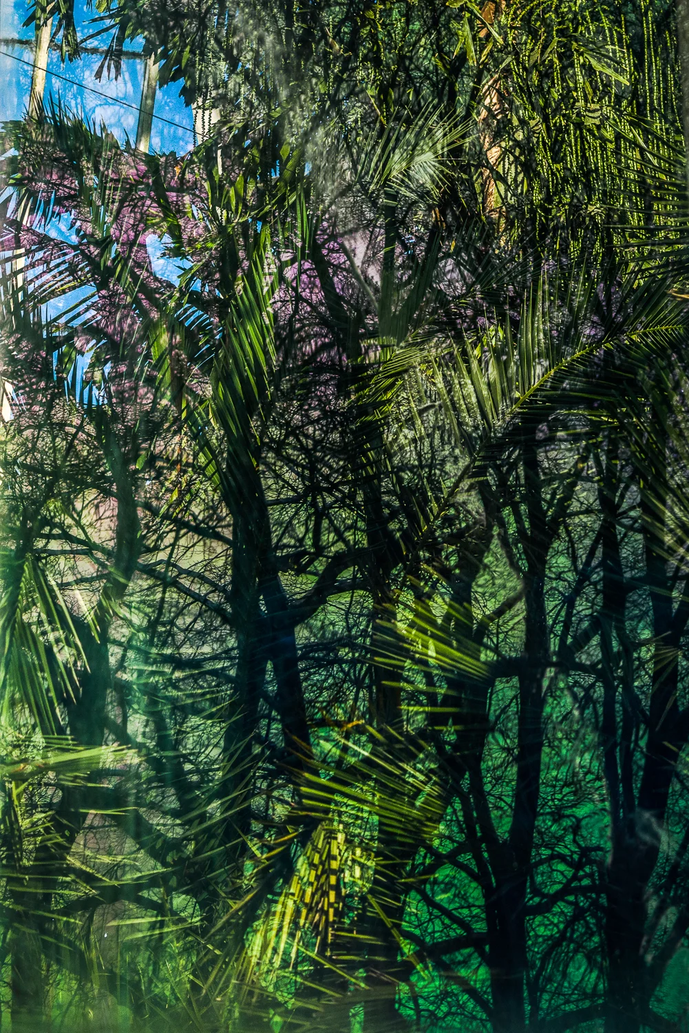 _DSC3685-Edit.jpg