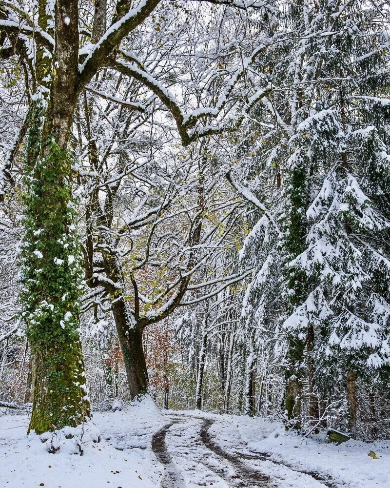  Haute-Savoie, France 2013 