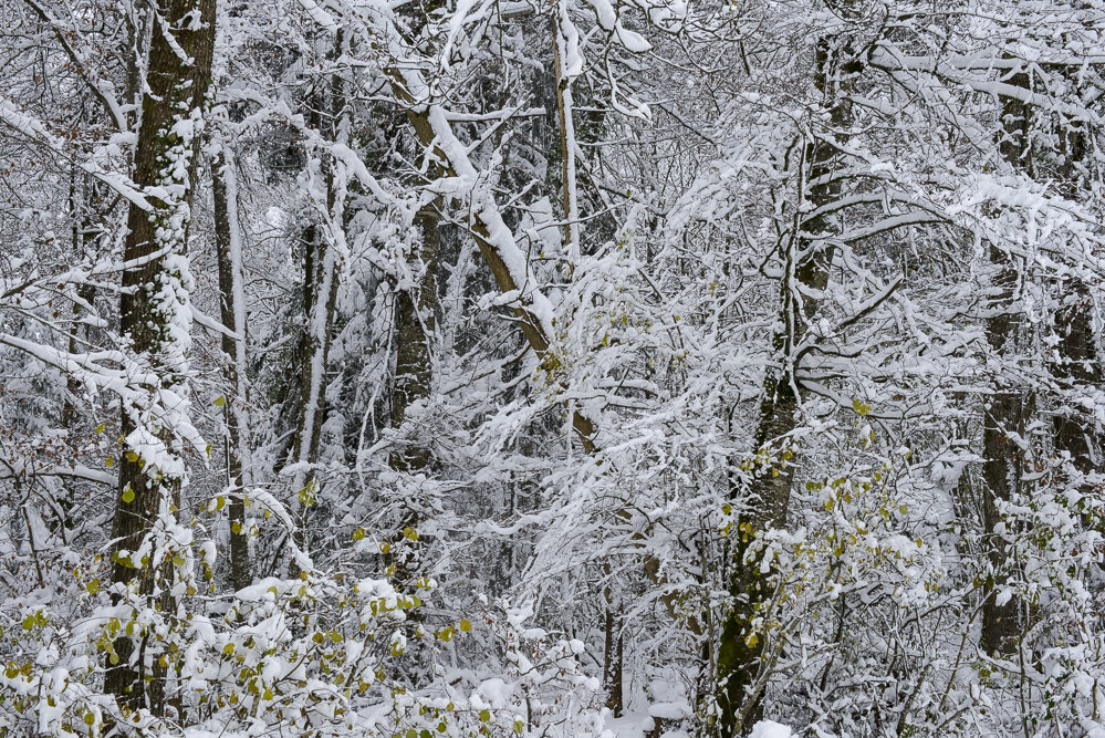  Haute-savoie, France 2013 