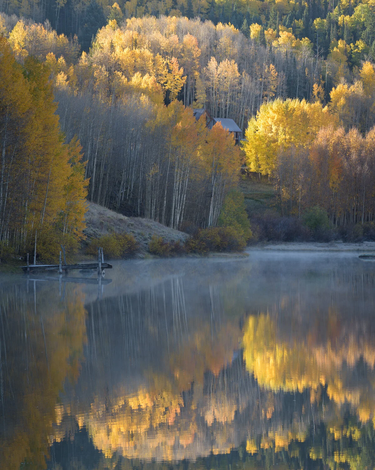 _DSC3365.jpg