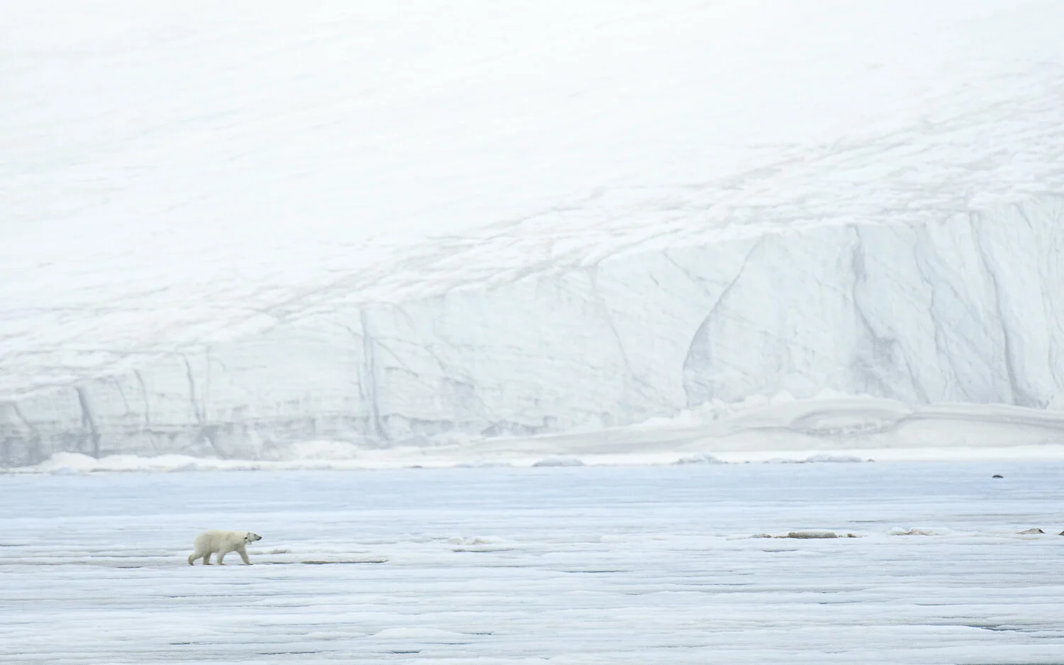 Svalbard 2020 (1 av 1).jpg